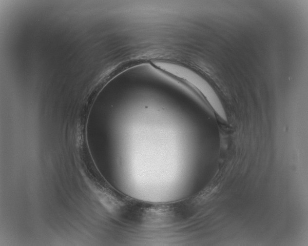 X0000062620164200601041014