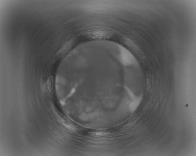 X0000062620165200601041014