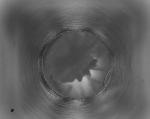 X0000062620166200601041014