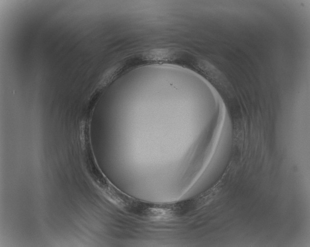 X0000062620167200601041014