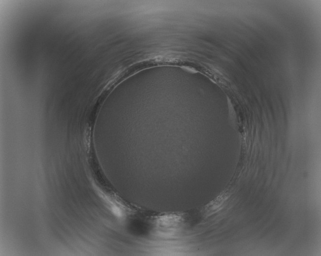 X0000062620168200601041014