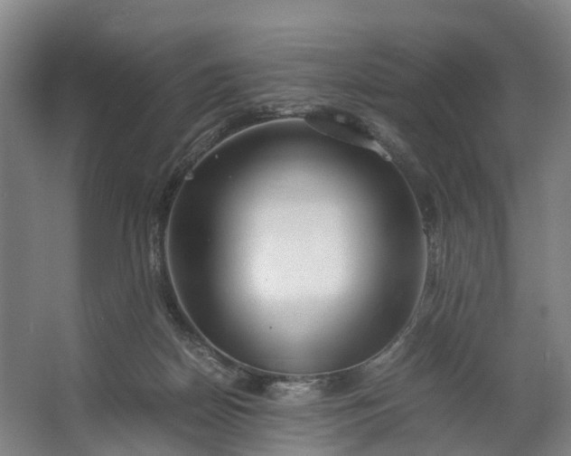 X0000062620170200601041014