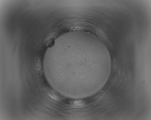 X0000062620173200601041014