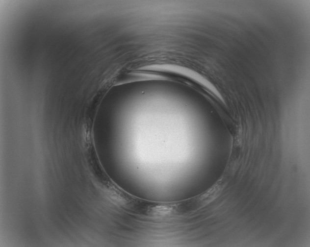 X0000062620176200601041014