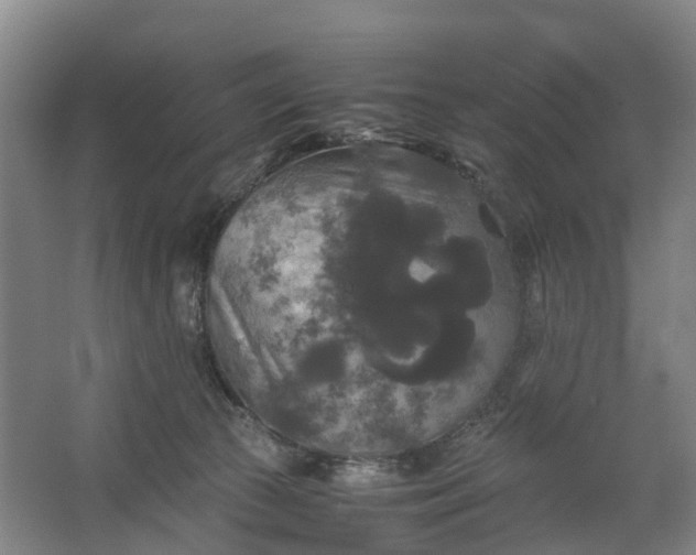 X0000062620177200601041014