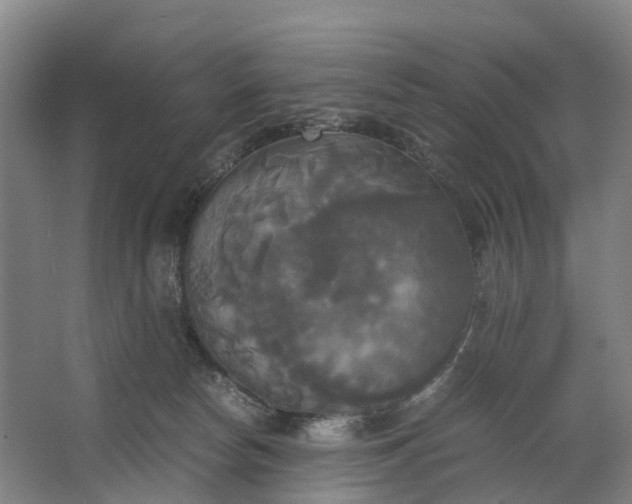 X0000062620178200601041014