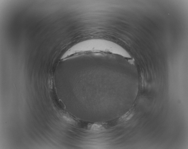 X0000062620180200601041014