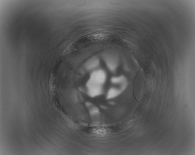 X0000062620181200601041015