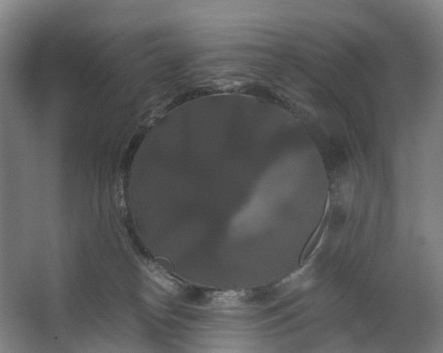 X0000062620182200601041015