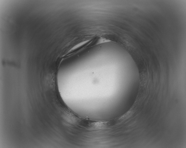 X0000062620184200601041015