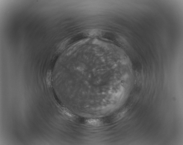 X0000062620189200601041015