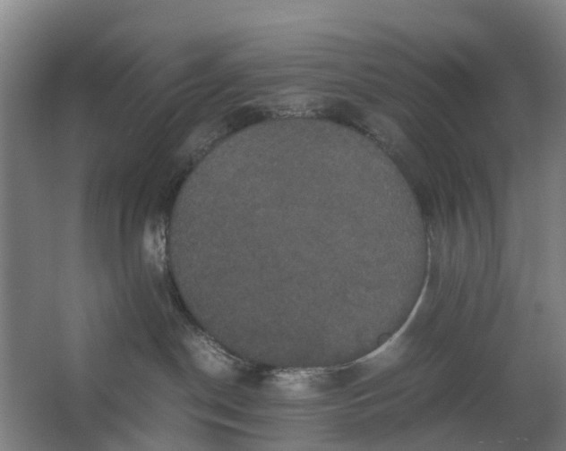 X0000062620190200601041015