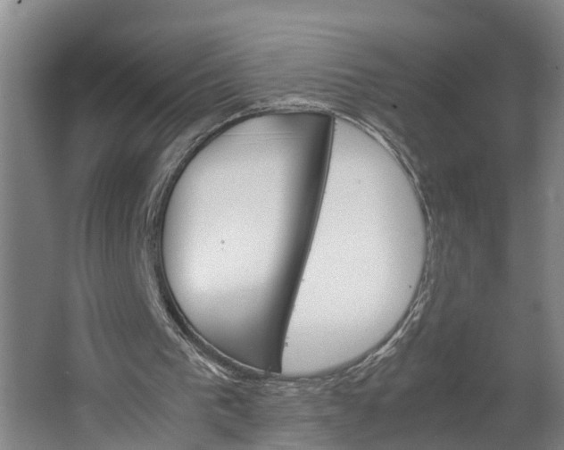 X0000062620193200601041014