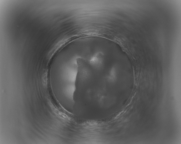 X0000062620194200601041014