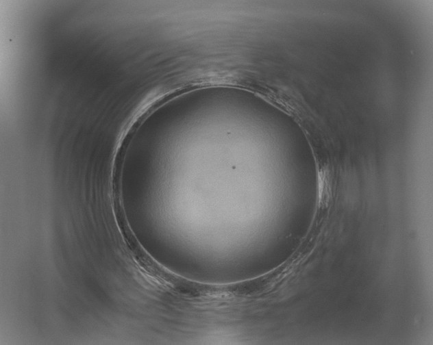 X0000062620195200601041014