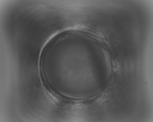 X0000062620196200601041014