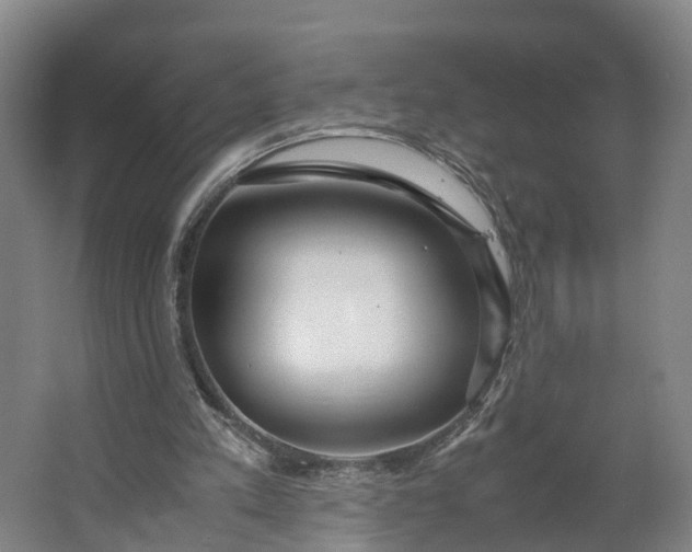 X0000062620197200601041014