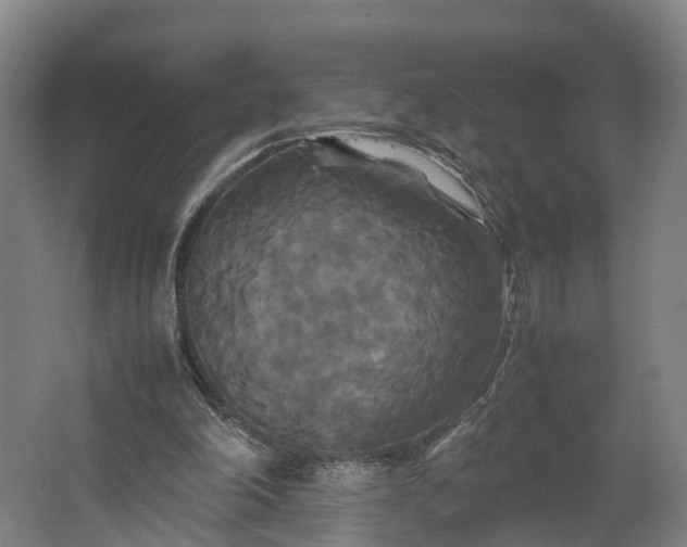 X0000062620198200601041014