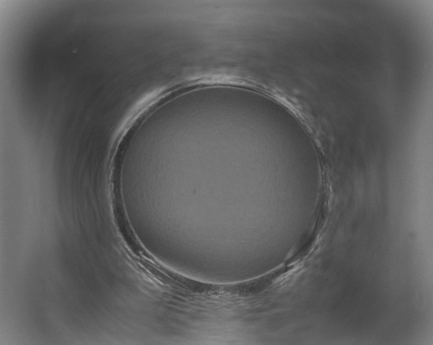 X0000062620199200601041014