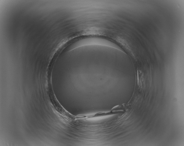 X0000062620204200601041014