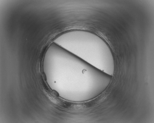 X0000062620205200601041014