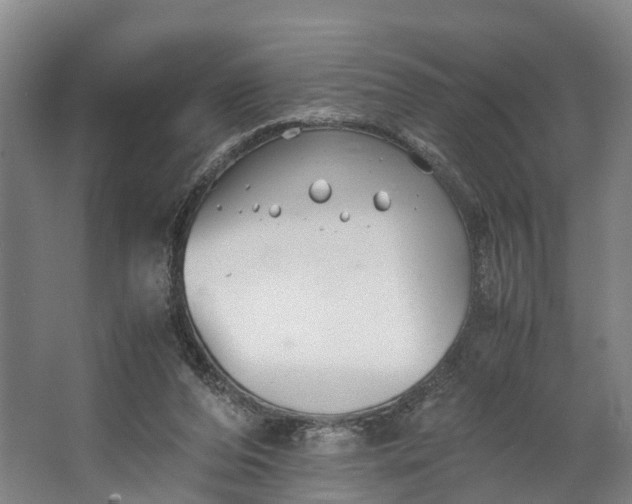 X0000062620208200601041014