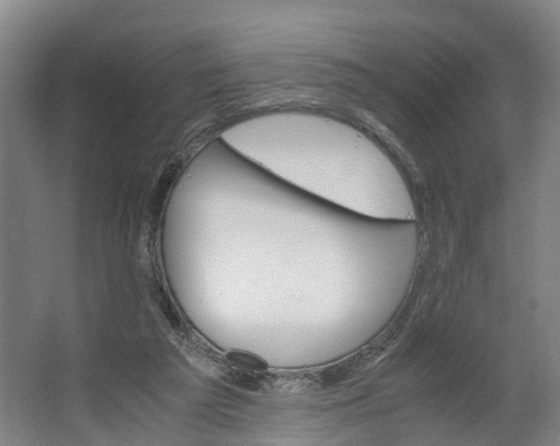 X0000062620209200601041014