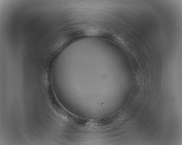 X0000062620211200601041014