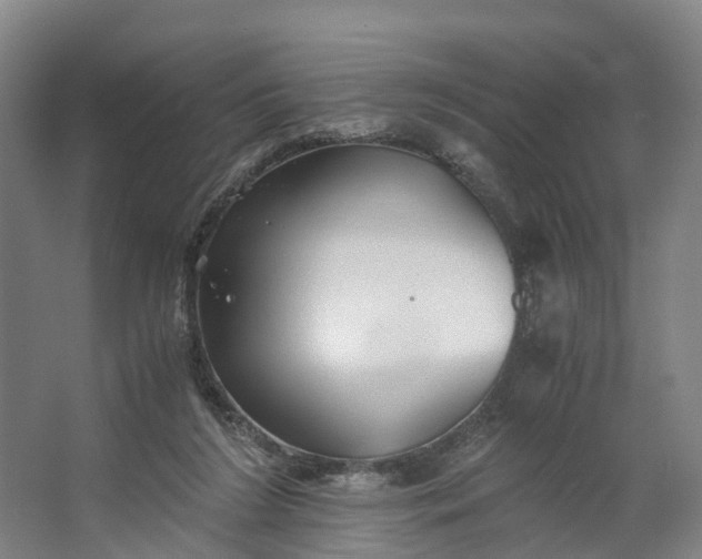 X0000062620212200601041014