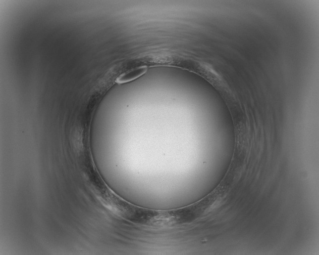 X0000062620213200601041014