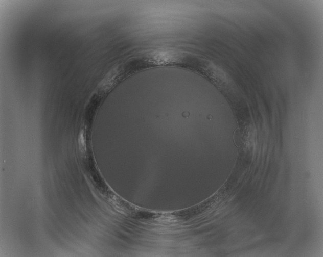 X0000062620214200601041014