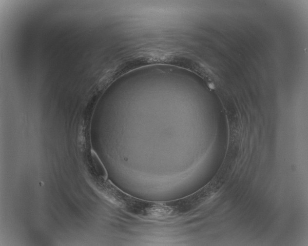 X0000062620215200601041014