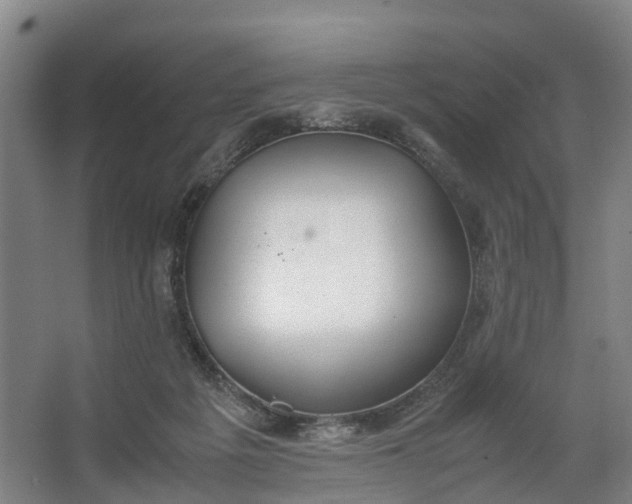 X0000062620217200601041013