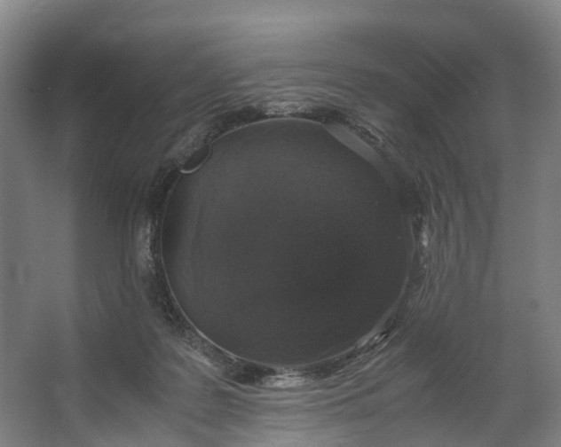 X0000062620219200601041013