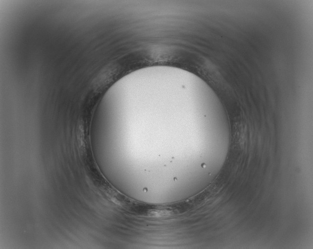 X0000062620220200601041013