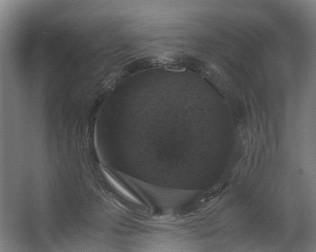 X0000062620223200601041013