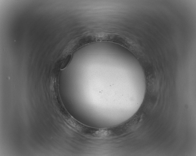 X0000062620225200601041013