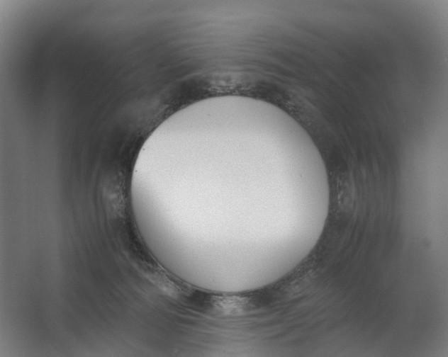 X0000062620226200601041013