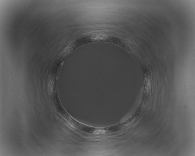 X0000062620227200601041013