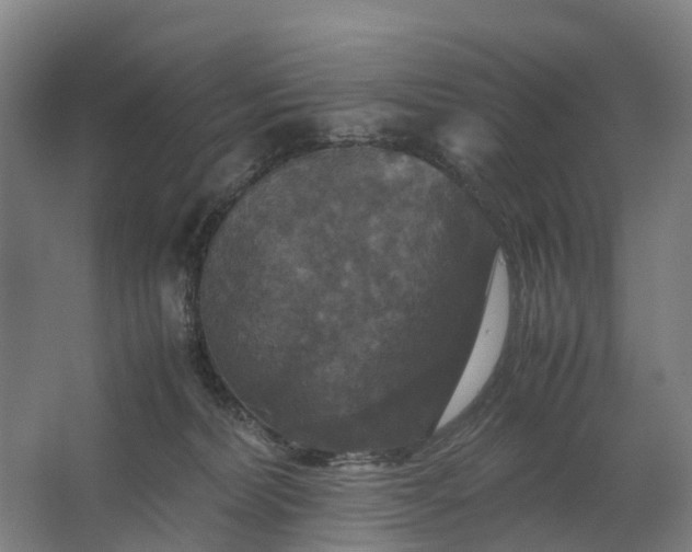 X0000062620228200601041013