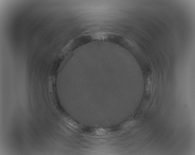 X0000062620229200601041013