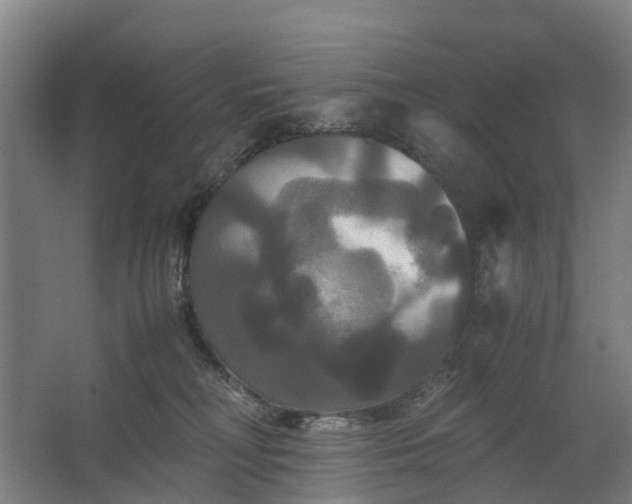 X0000062620230200601041013