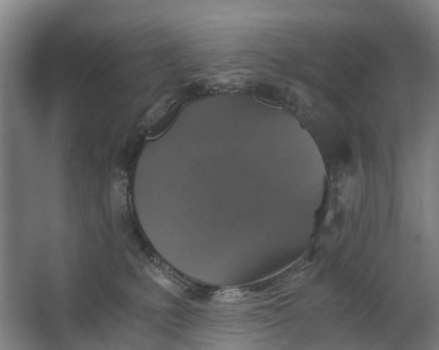 X0000062620231200601041013