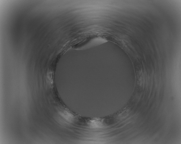 X0000062620232200601041013