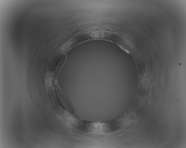 X0000062620233200601041013