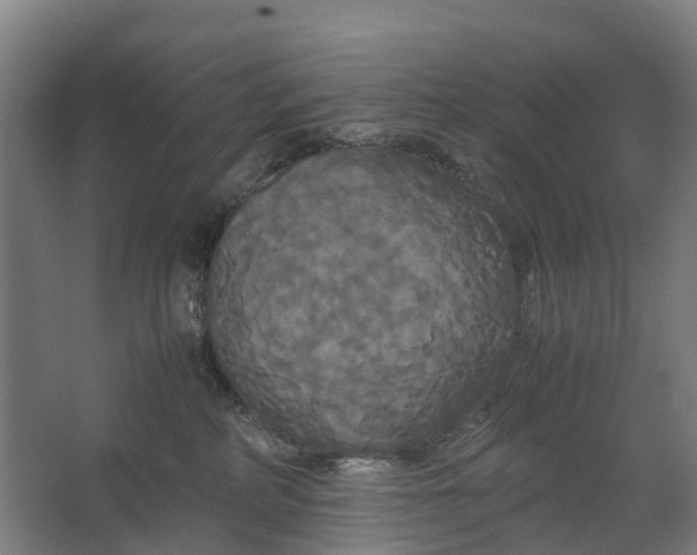 X0000062620234200601041013