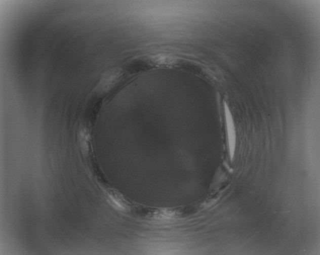 X0000062620235200601041013