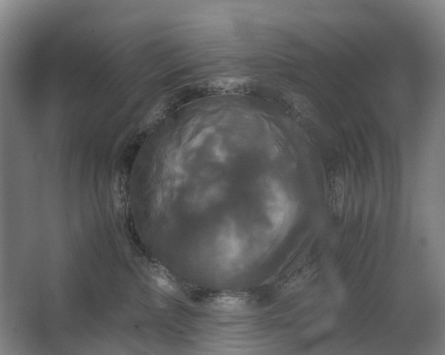 X0000062620236200601041013