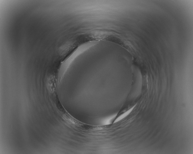 X0000062620237200601041013