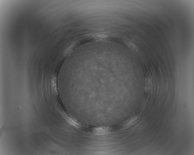 X0000062620238200601041013